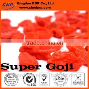 GMP KOSHER HALAL ISO BNP High Quality Chinese Red Dried Organic Goji Berry thumbnail-1