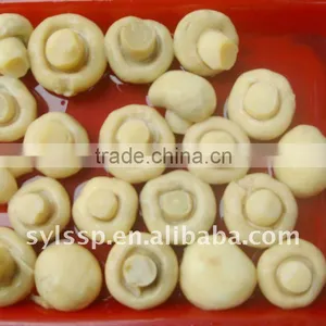 Marinated Champignon Mushroom thumbnail-1
