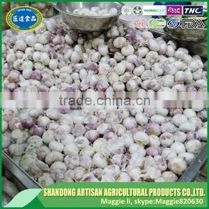 Best Price of Single Clove Garlic for Wholesale thumbnail-3