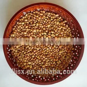 JSX Fair Trade Black Eye Beans and Brown Eye Beans Types of Export Cowpea Bean thumbnail-3