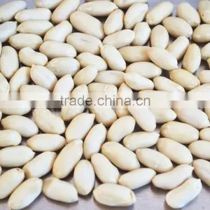 Shandong Good Quality Blanched Peanut thumbnail-1