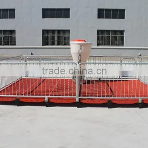 Poultry Feed Processing Equipment Stainless Steel Pigs Stall Nursery Crates thumbnail-6