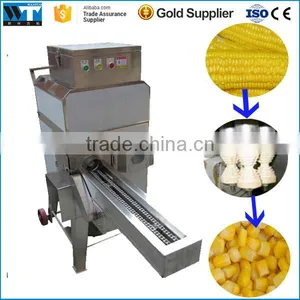 Hot Selling Automatic Home Use Sweet/Fresh Corn Thresher thumbnail-6