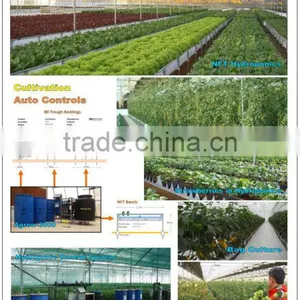 Commercial Greenhouse for Vegetable Production thumbnail-1