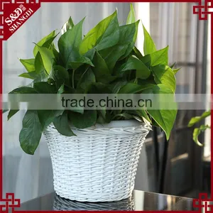 S&D Rattan Small White Round Plastic Flower Pots Light Ceramic Flower Pot Yard Decoration thumbnail-1