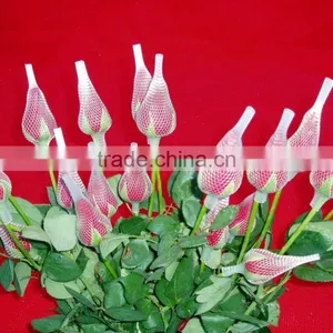 Flower Shower Sponge Machine(FS-65-1) thumbnail-1