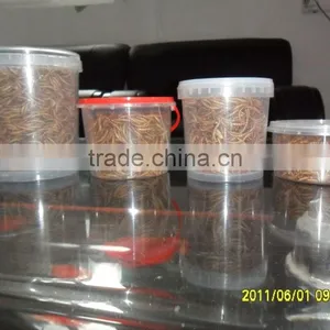 FDA Certification Dried Mealworms for Sale thumbnail-4