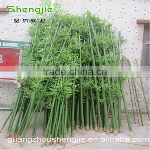 SJLJ013508 Guangzhou Shengjie Wholesale Artificial Plant and Tree / Fake Bamboo Plant thumbnail-3
