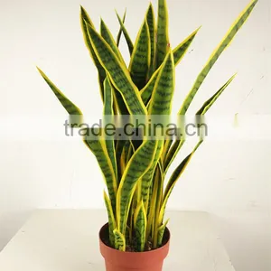 Guangzhou Shengjie Artificial Bonsai Agave Plant Indoor Decoration thumbnail-3