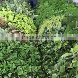 Vertical Grass Wall Synthetic Top Sale Interior Decor Vertical Green Wall thumbnail-3