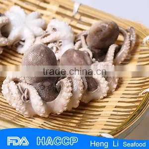 Good Quality Frozen Octopus for Sale thumbnail-6