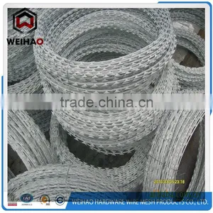 Moderate Price Razor Barbed Wire Used in Prison thumbnail-6