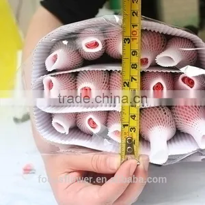 High Quality Spring and Summer Fresh Diana Rose Flowers thumbnail-6