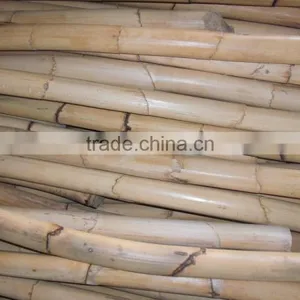 Raw Manau Rattan Cane Pole thumbnail-1