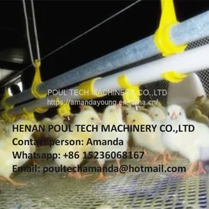 Malawi Poultry & Chicken & Bird Farm Automatic Broiler Ground Breeding System & Chicken Floor Raising System With Automatic Nipple Drinker System thumbnail-1