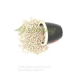 Navy Bean Small White Kidney Beans Haricot Beans thumbnail-1