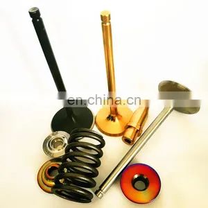 Intake Exhaust Engine Valves Springs Parts For Citroen C8 C5 C25 1.8 2.0 Tu5j Tu5jp4 XM7T XN1T EW12J4 0948A1 91510548 91520847 thumbnail-5