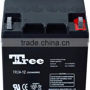 Free Maintenance Ups System Battery 12V 24Ah Rechargeable Lead Acid Batteries thumbnail-2