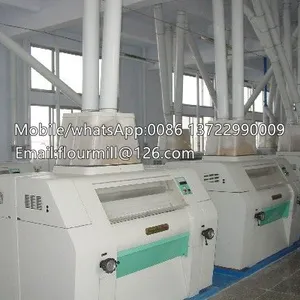 Maize Flour Mill Maize Flour Mill Kenya 20T Maize Flour Mill Corn Grinding Machine For Sale thumbnail-1