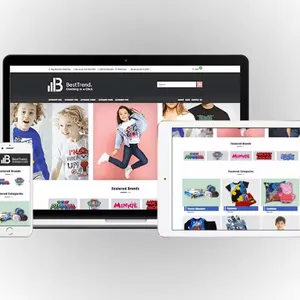 Website Development for All Business | B2B B2C Ecommerce Websites Design | Ecommerce Development thumbnail-4