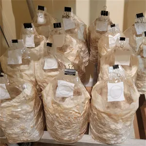 Mushroom Spawn Bags Filter Patch Bag for Mushroom Cultivation Microporous Filter Patch Spawn Incubation Bags thumbnail-5