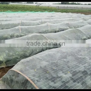 China Factory Wholesale Plastic Anti Hail and Insect Net Mesh Plant Covers thumbnail-4