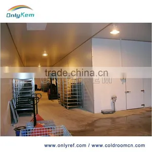 Preservation Cold Storage for Fresh Banana Quality Choice thumbnail-1