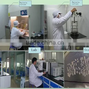 SUKAMY-TX550 Textile Destarch Amylase Enzyme for Textile Industry thumbnail-4