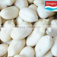 Chinese Peanut for Butter thumbnail-1