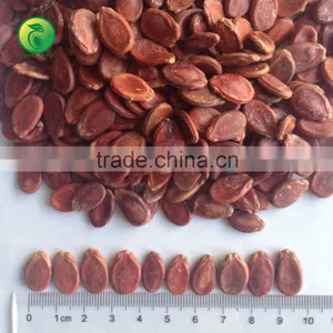 Red Watermelon Seed Wholesalers China thumbnail-1