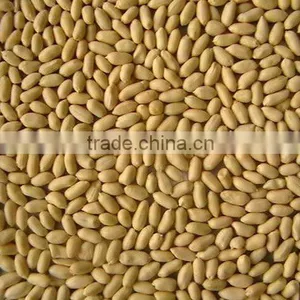 Roasted Salted Peanuts thumbnail-1