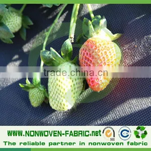 Anti-UV Treatment pp Spunbond Nonwoven Fabric Agriculture Cover/pp Spunbond Tunnel Supplier's Choice thumbnail-1