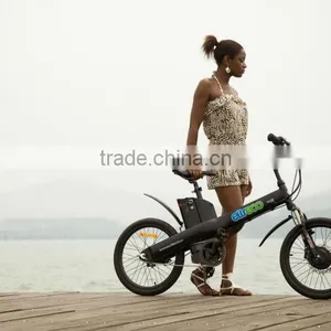 Wuxing Electric Bikes,CE Classic and Hot Sale Model , Seagull 20 Inch Sport Electric Bike for Sale thumbnail-1