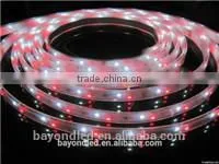 Super Bright Led Strip IP65 Waterproof GW6201/ GW6202B High Lumen Digital Led Strip For Billboard Lighting thumbnail-3