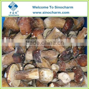 Whole Frozen Boletus Edulis thumbnail-2