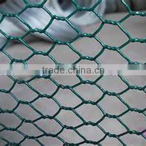 Green Pvc Coated Chicken Wire Mesh thumbnail-1