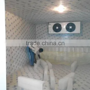 CBFI Guangzhou Walk in Refrigerator for Warehouse thumbnail-2