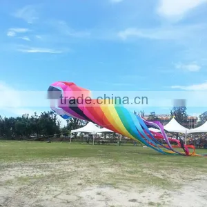 Customized Large Windsock Kite From Chinese Factory Quality Choice thumbnail-2