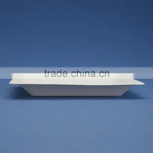 PL-06-S 6.75 Inches Disposable Flate Square Shape Sugarcane Dinner Plates thumbnail-2