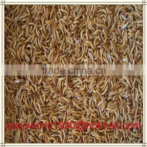 Dried Mealworms Recipes by the Pound Storage thumbnail-5