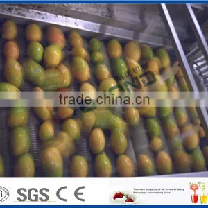 Complete Set of Mango Juice Production Line thumbnail-2
