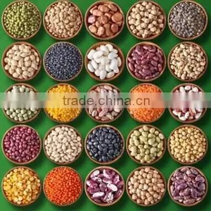 Chinese Beans 2014 New Crop; thumbnail-1