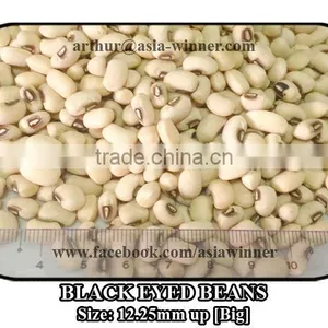 Cowpeas [Big] thumbnail-2
