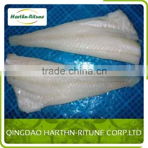 Frozen Saithe /pacific Cod Fillet thumbnail-5