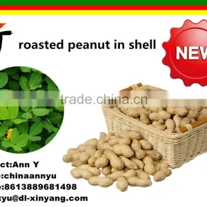 Good Salted Roasted Peanut in Shell thumbnail-3