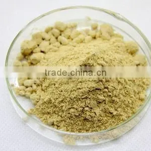 Best-quality Natural and Nutritional Food Supplement Black Walnut Fruit Powder Juglans Nigra Flour thumbnail-2