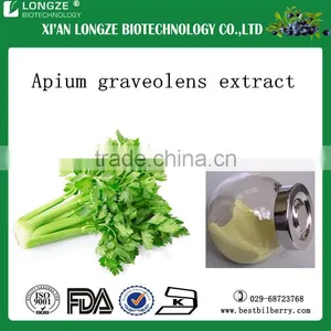 Apium Graveolens Extract With Free Sample for Wholesale thumbnail-1