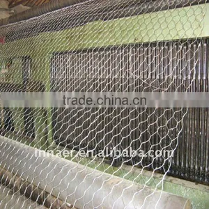 Hot Sale PVC and Galvanized Hexagonal Wire Mesh thumbnail-1