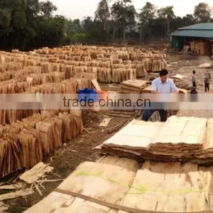 EUCALYPTUS/ACACIA SHORT CORE VENEER PLYWOOD thumbnail-1