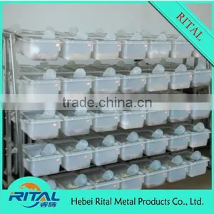 Mouse Group Breeding Cages thumbnail-4